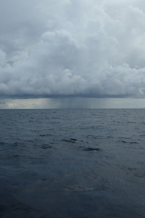 moody-nature:Rain in the distance | By Dan | Somewhere In the Pacific Ocean