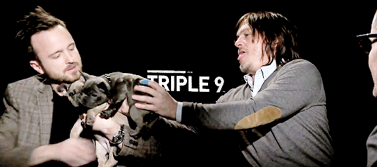 reedusgif:  Aaron Paul and Norman Reedus get distracted by the puppies during Triple9