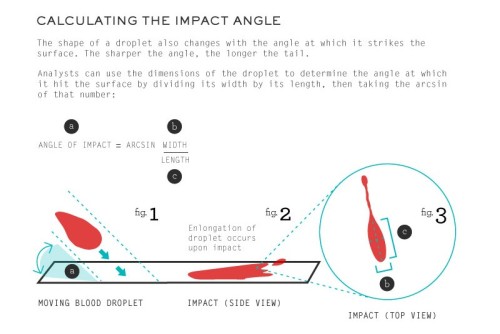 bad-fanfiction:  fuckyeahcharacterdevelopment:  spineye:  amandaonwriting:  Bloodstain Pattern Analysis (BPA) - Resource for Crime Writers SOURCE  well you never know when this might come in handy.  I feel like this would be useful to some of you.  