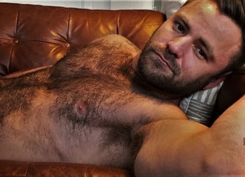 GAY BEAR FOR CHASERS