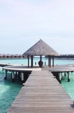 thinkup-facts:  Above crystal clear waters courtesy of traveljunkiediary Share your favorite hotels and include impeccablehotels 1