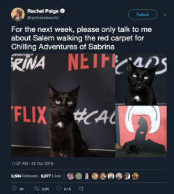 fyeahriverdale:The cat playing Salem in Chilling