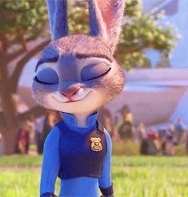animations-daily: Zootopia (2016)
