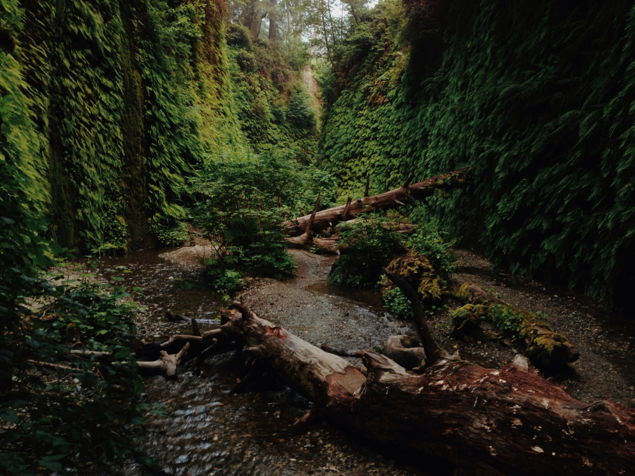 atraversso:  Beautiful Nature  by Kevin Russ  