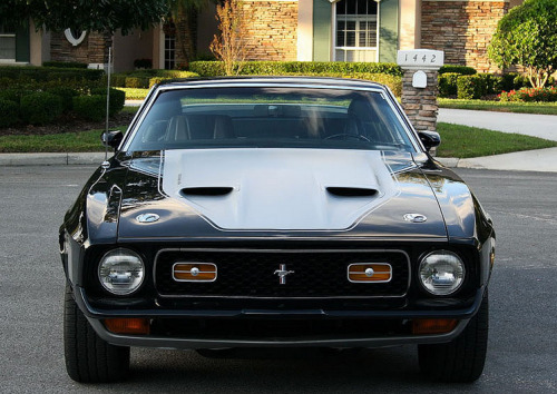 Muscle Cars Fans