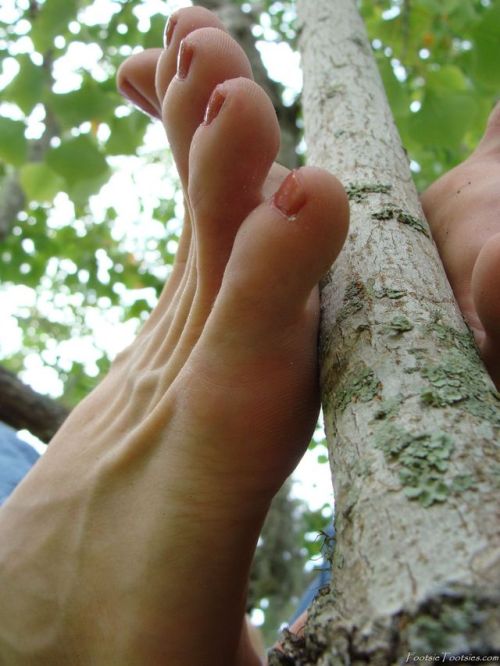 feet-fiend:your welcome,  Marilyn Reese’s size 12 feet, tree photo set,wish my cock was that branch 