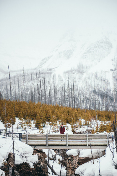 teapalm: (Tasha Marie) | Marble Canyonprints | instagram
