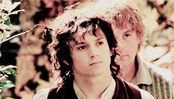 finqon:It’s like in the great stories, Mr. Frodo. The ones that really mattered.