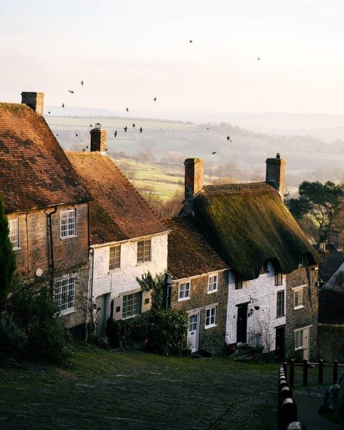 myfairylily: Shaftesbury | formgestalter 