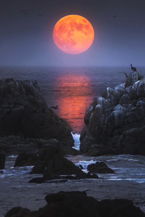 vurtual:(by Eric Houck)
