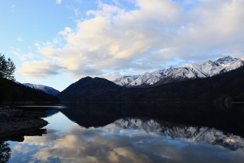 burningmine:Chelan Lakeshore Trail, April 2018