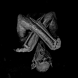 frankensteinsbrides:Destroy every box. Sterilize the earth inside. Leave him no refuge.