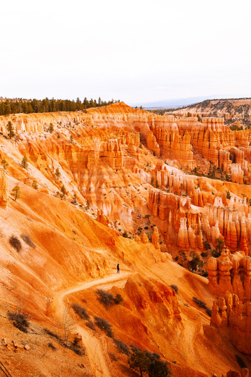 Navajo Loop Trail in Bryce Canyon by Jeremiah Probodanu(IG: @thecraziethewizard)