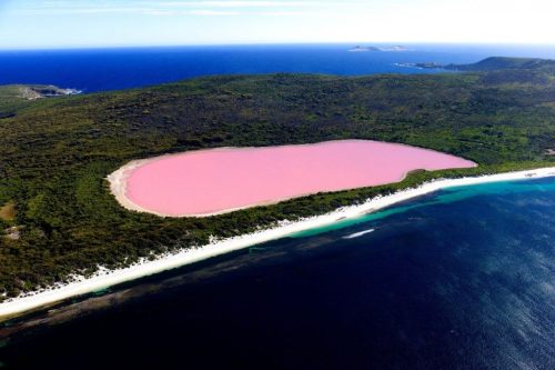 Lake Hillier, Western AustraliaLast week I posted about the beautfiul blue-green lakes of Mt. Kelimu