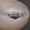 joisacrow