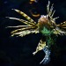 mardyxbvm-deactivated20201119:Enjoy some Jellies and pals :) 