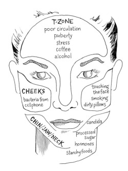 graceless-goddess:  An Ayurvedic approach to what may be the cause of acne