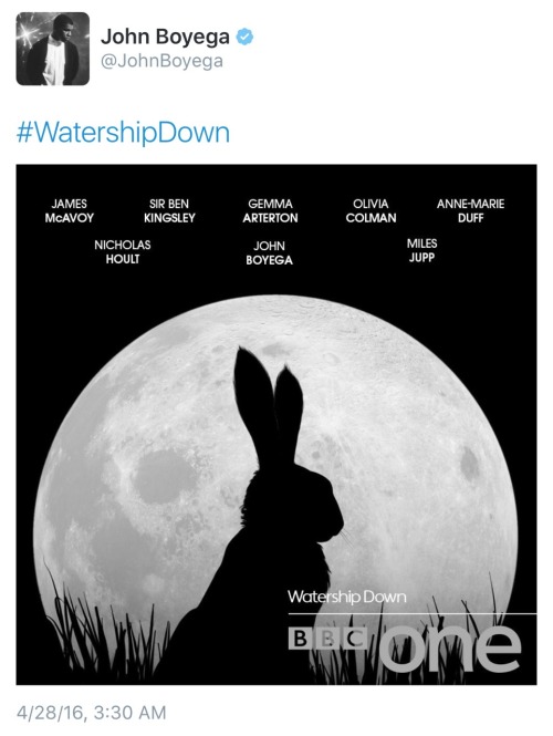 fawxblogs: fuckyeahjohnboyega: John Boyega and #WatershipDown OH MY GOD????????