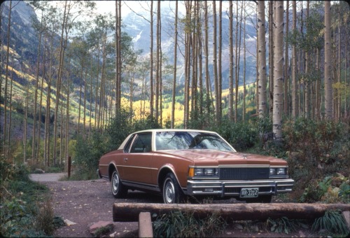 twoseparatecoursesmeet:Parked in the Wilderness, 1977