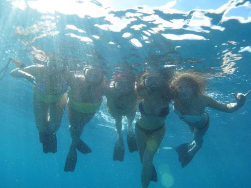 Love this underwater shot of @sexyjessej @whitegirlpoliticking @realmoniquealexander yours truly and