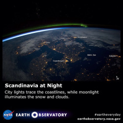 spaceexp:  Scandinavia at Night by NASA Earth Observatory on Flickr.