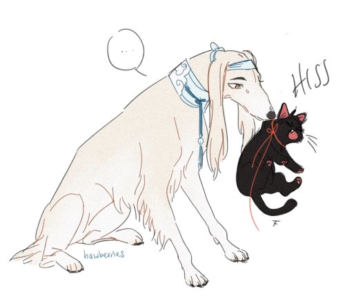 hawberries:evil incarnate.[image is a drawing of a white saluki gently holding a yowling black kitte