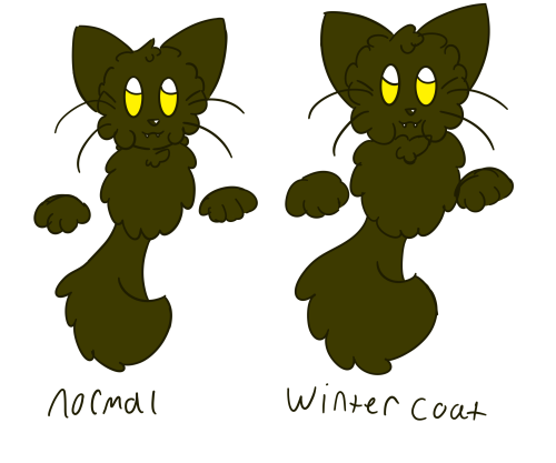 Guys. Idk What Happened I Really Dont. I Saw This Post About Magolor Getting A Winter Coat And I Just.