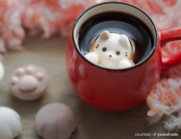 meowoofau:  cat marshmallows What’s fluffy, sweet and too adorable to eat? Cat