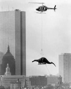 historicaltimes:  A dinosaur being delivered to the Boston Museum of Science, 1984 