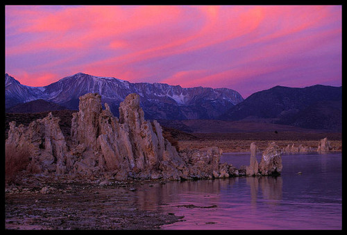 Pink Swept Sky, Mono Lake by Buck Forester on Flickr.