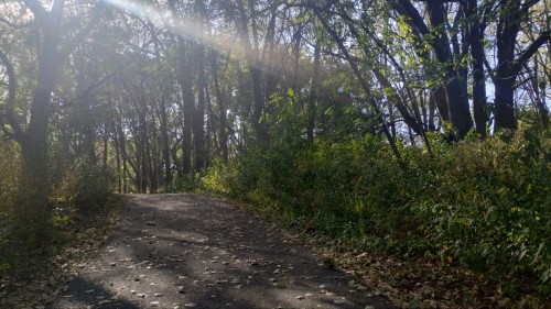 Some Photos Of My Nearby Park, On A Nice October Day.