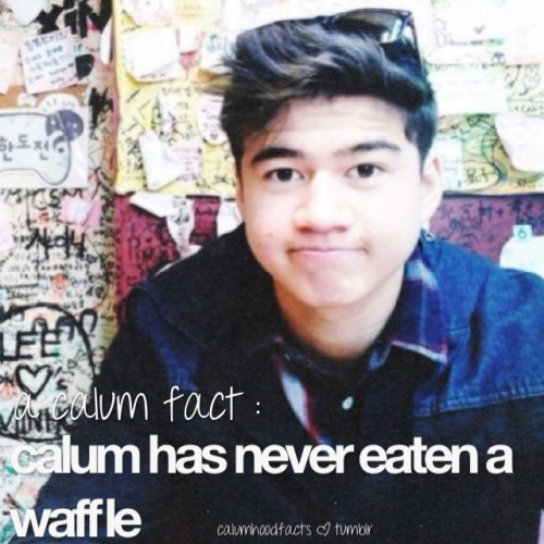 calum fact ( ͡° ͜ʖ ͡°) (im sorry waffle looks weird ha)