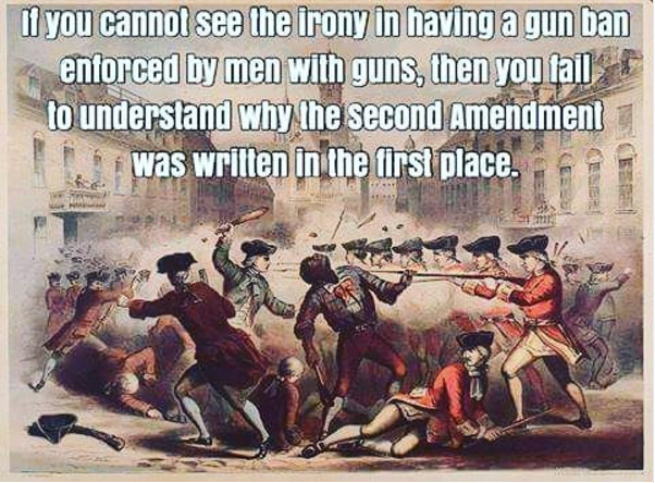 Mildly Offensive Gun Owner