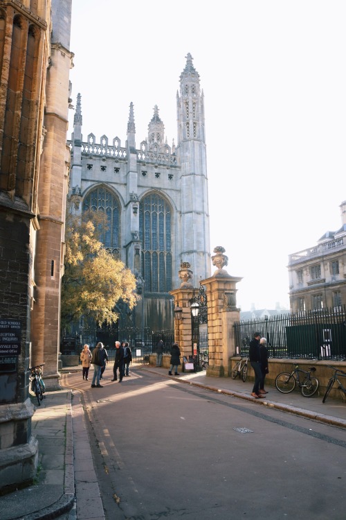 lauraoosterbeek:Cambridge, Autumn 2018