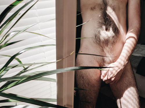 fawnrelic: Sunday afternoon ✨