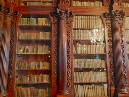 speciesbarocus:The Pisani’s family library at Museo Correr, Venice.