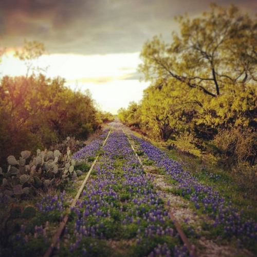 It&rsquo;s like spring is already here with this weather!