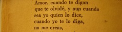 solofueelpanico:  Blog de un chileno normal 