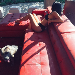 kyliejennerfashionstyle: kyliejenner - Dogs