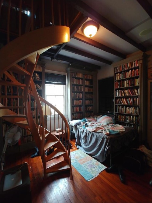 bookmania:Library slash bedroom in Treme, New Orleans