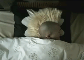against-the-lies:  To everyone who’s ever asked me how I sleep with my mohawk up.