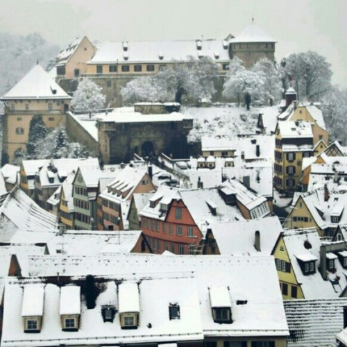 phoenixtears - Cities & Moods - Tübingen, Germany Es blüht...