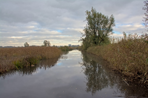 Autumn in bourgoyen nature reserve, Ghent, Belgium