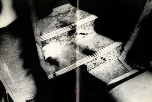 nobrashfestivity: Daido Moriyama, Light and Shadow (Hikari To Kage , 森山大道 光と影)