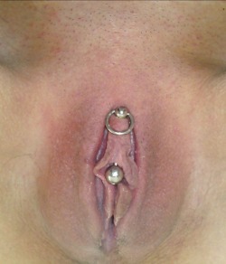 VCH piercing with a barbell with a ring on