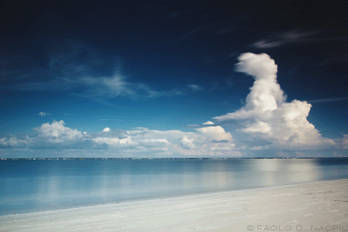 thisiswander:  Paolo NacpilOrlando, FLCanon EOS Rebel T2i Your time lapses capture