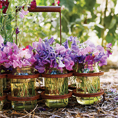 Porn Pics starbrillance:  Sweet Peas Flowers… absolute