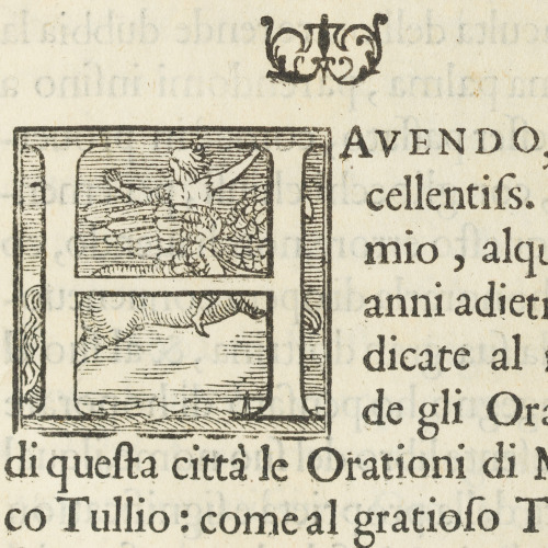 Excellent lettering from a 16th century book on Venetian colour theory dedicated by Lodovico Dolce t