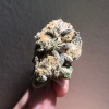 XXX kuush-queen:iPhone quality white urkle 8/2019 photo