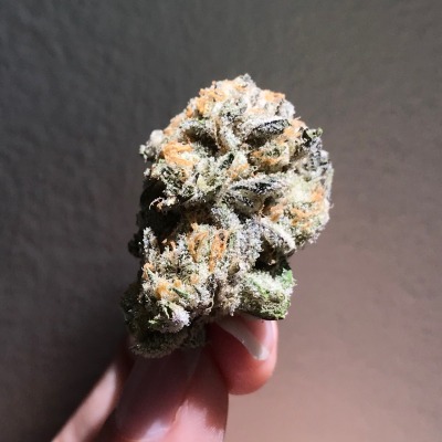 kuush-queen:iPhone quality white urkle 8/2019 adult photos